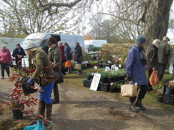 Mapperton Plant Fair