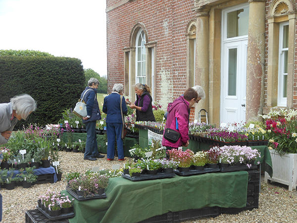 Sherborne Plant Fair