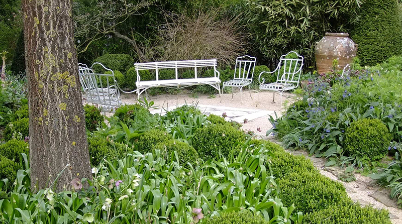 Garden talks by Becky Cotteril