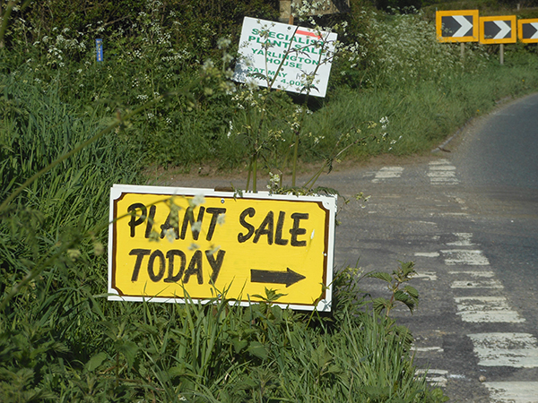 Sherborne Plant Fair