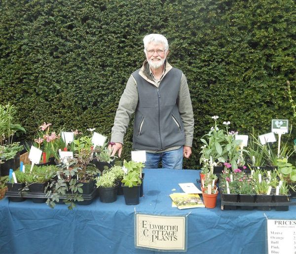 Elworthy Cottage Plants