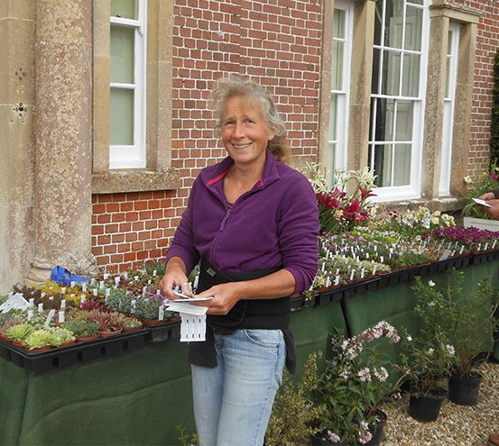 Leesa not just Alpines