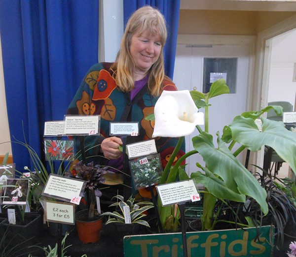 Triffids Nursery