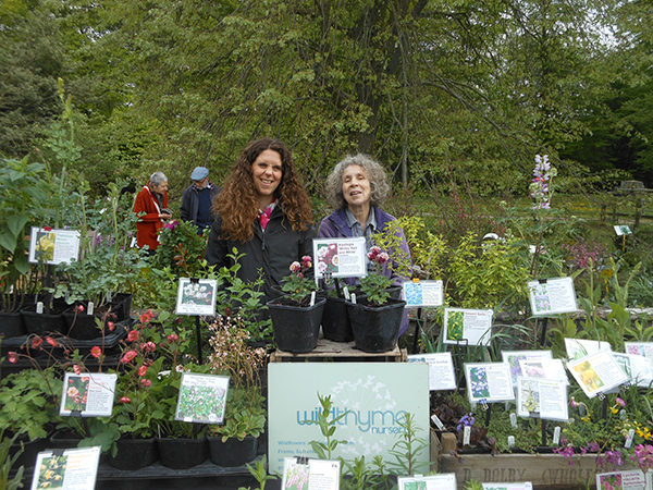 Sherborne Plant Fair