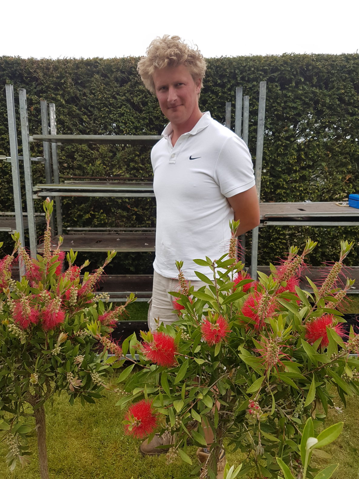 Spring Meadow Nurseries