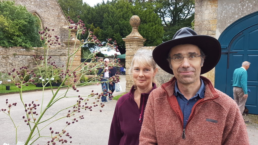 Dorset Perennials