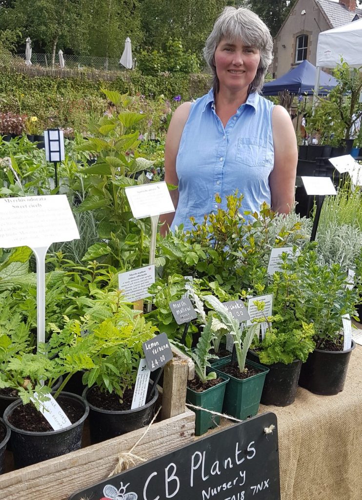 CB Plants