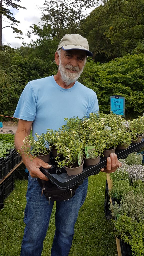 Glenholme Herbs