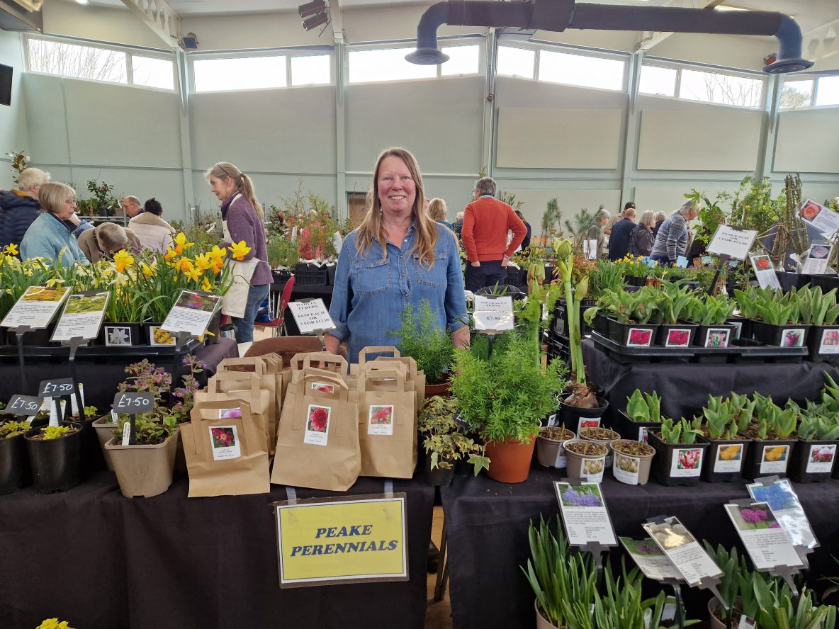 Nursery stand at the Digby Hall Plant fair