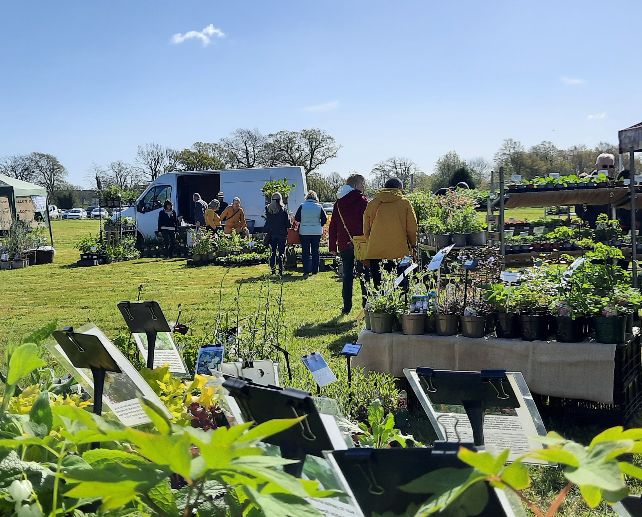 Walled Garden Moreton Plant Fair 2024