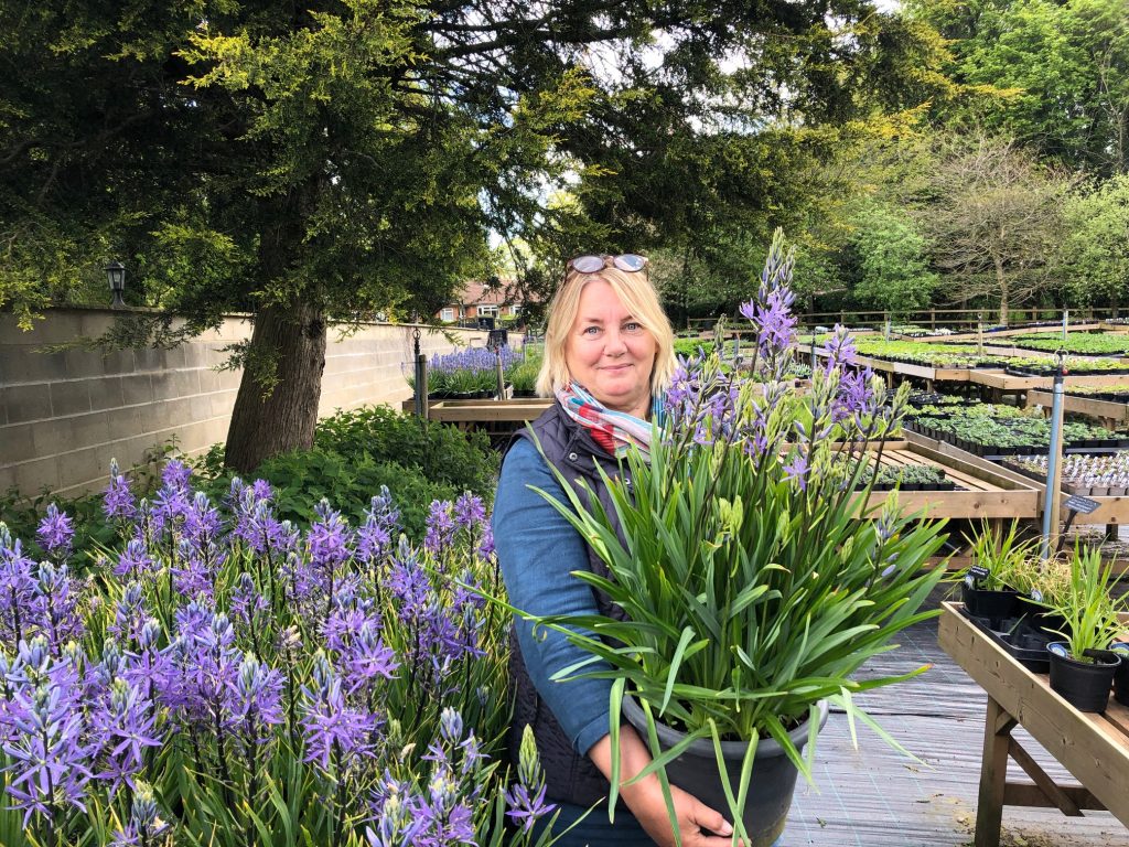 Hare Spring Cottage Plants