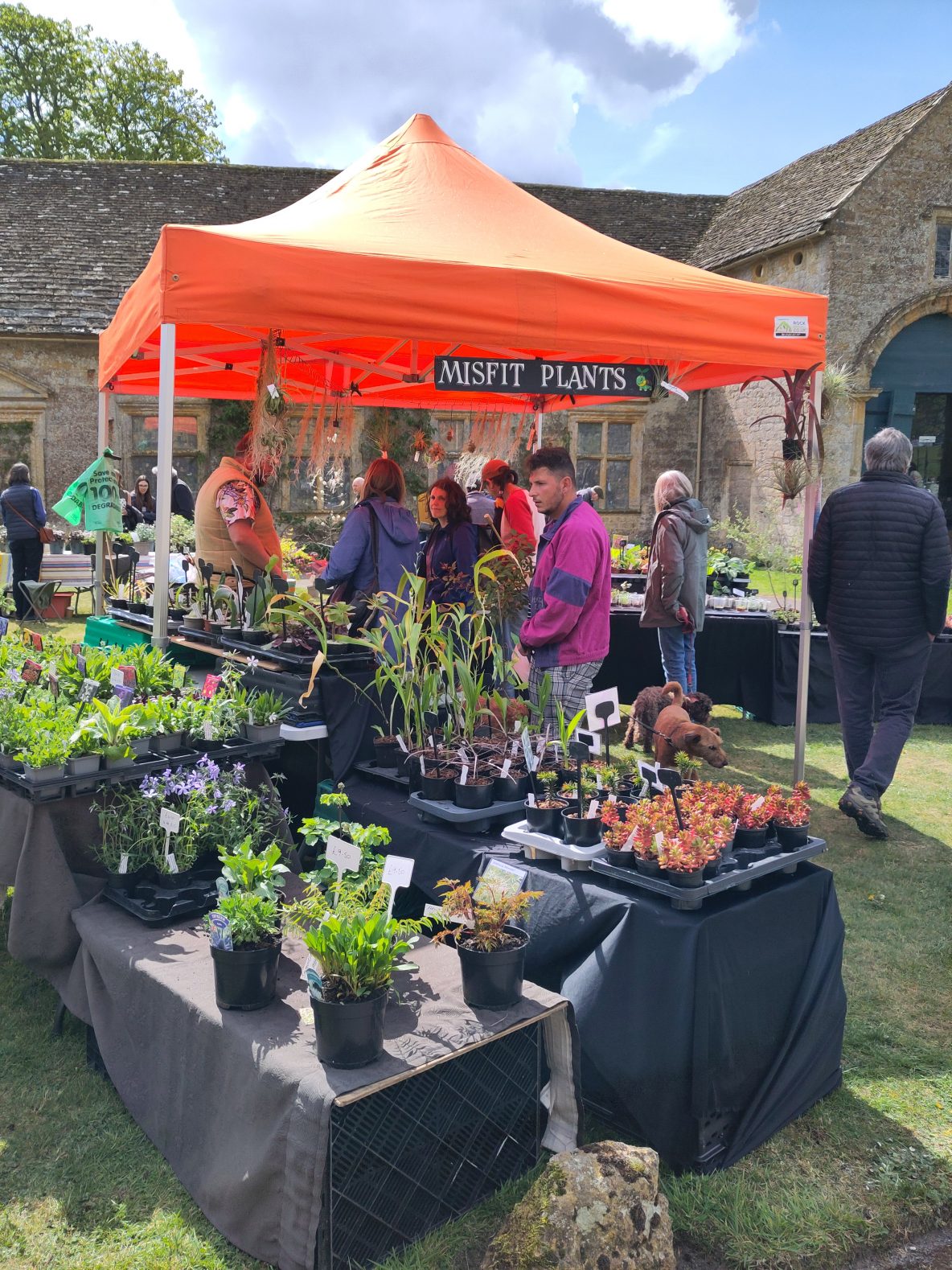 Misfit Plants stand